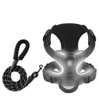 LED Dog Harness - Rechargeable Light Up Harness - 2Pcs Set