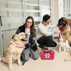 Pet First Aid Kit - Portable for Dogs and Cats