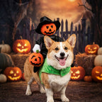 Funny Dog and cat Pumpkin Riding Costume - Pet Wizard Outfit - Halloween