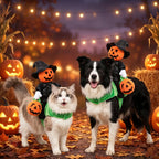 Funny Dog and cat Pumpkin Riding Costume - Pet Wizard Outfit - Halloween