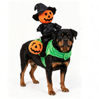 Funny Dog and cat Pumpkin Riding Costume - Pet Wizard Outfit - Halloween