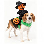 Funny Dog and cat Pumpkin Riding Costume - Pet Wizard Outfit - Halloween