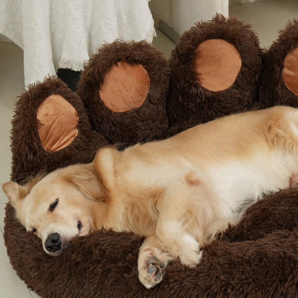 Coffee Bear Paw Pet Bed - Calming Donut - Dog & Cat Cuddler