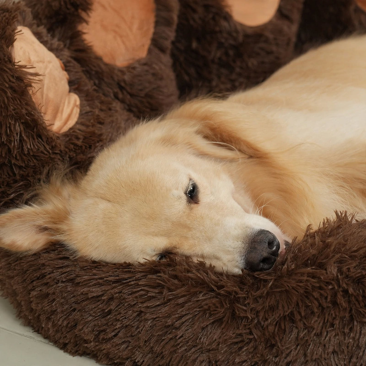 Coffee Bear Paw Pet Bed - Calming Donut - Dog & Cat Cuddler