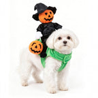 Funny Dog and cat Pumpkin Riding Costume - Pet Wizard Outfit - Halloween
